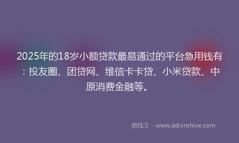 2025年的18岁小额贷款最易通过的平台急用钱有：投友圈、团贷网、维信卡卡贷、小米贷款、中原消费金融等。