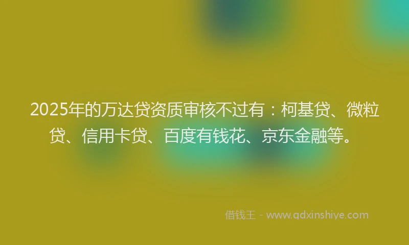 2025年的万达贷资质审核不过有：柯基贷、微粒贷、信用卡贷、百度有钱花、京东金融等。