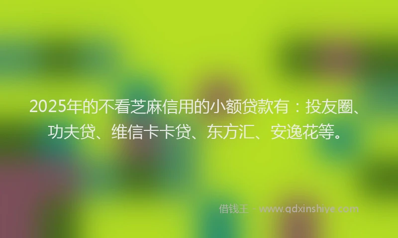 2025年的不看芝麻信用的小额贷款有：投友圈、功夫贷、维信卡卡贷、东方汇、安逸花等。