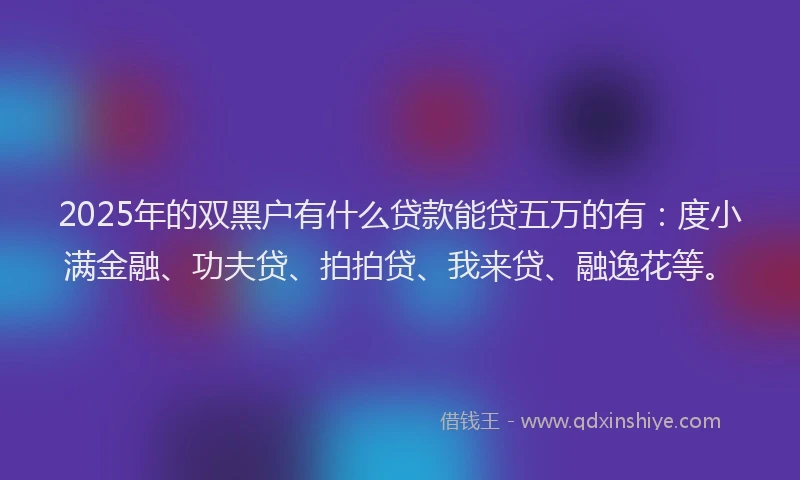 2025年的双黑户有什么贷款能贷五万的有：度小满金融、功夫贷、拍拍贷、我来贷、融逸花等。
