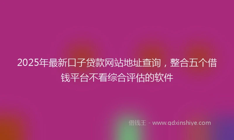 2025年最新口子贷款网站地址查询，整合五个借钱平台不看综合评估的软件