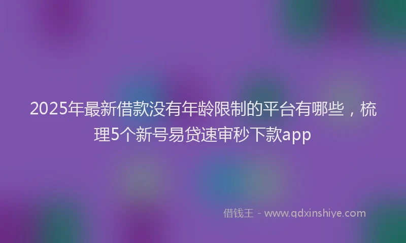 2025年最新借款没有年龄限制的平台有哪些，梳理5个新号易贷速审秒下款app