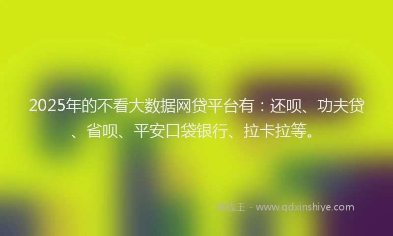 2025年的不看大数据网贷平台有：还呗、功夫贷、省呗、平安口袋银行、拉卡拉等。