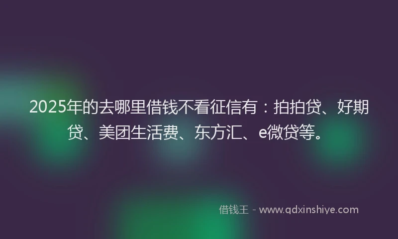 2025年的去哪里借钱不看征信有：拍拍贷、好期贷、美团生活费、东方汇、e微贷等。