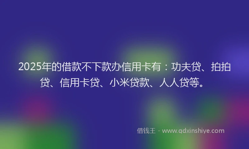 2025年的借款不下款办信用卡有：功夫贷、拍拍贷、信用卡贷、小米贷款、人人贷等。