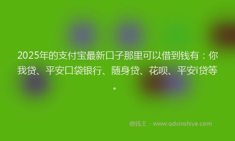 2025年的支付宝最新口子那里可以借到钱有：你我贷、平安口袋银行、随身贷、花呗、平安i贷等。