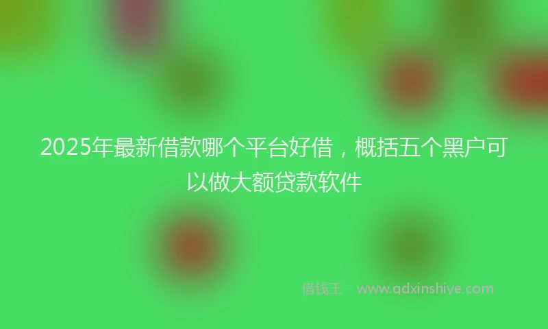 2025年最新借款哪个平台好借，概括五个黑户可以做大额贷款软件