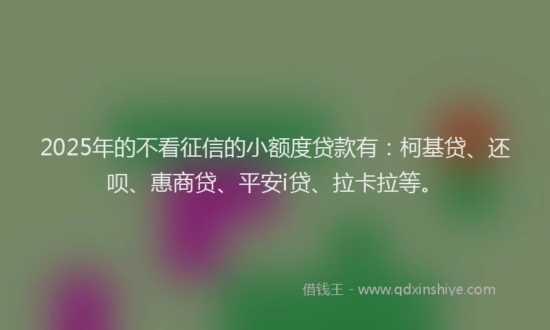 2025年的不看征信的小额度贷款有：柯基贷、还呗、惠商贷、平安i贷、拉卡拉等。