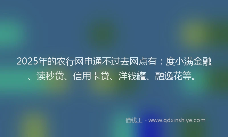 2025年的农行网申通不过去网点有：度小满金融、读秒贷、信用卡贷、洋钱罐、融逸花等。