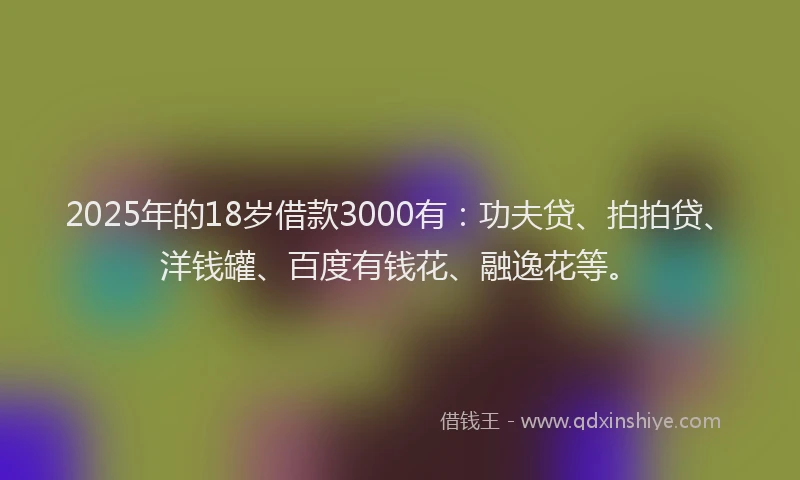 2025年的18岁借款3000有：功夫贷、拍拍贷、洋钱罐、百度有钱花、融逸花等。