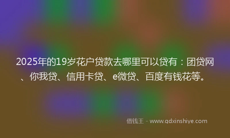 2025年的19岁花户贷款去哪里可以贷有：团贷网、你我贷、信用卡贷、e微贷、百度有钱花等。