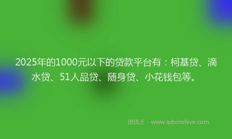 2025年的1000元以下的贷款平台有：柯基贷、滴水贷、51人品贷、随身贷、小花钱包等。