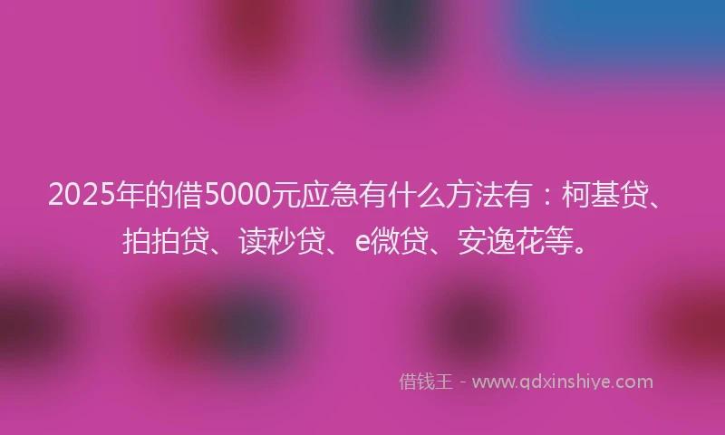 2025年的借5000元应急有什么方法有：柯基贷、拍拍贷、读秒贷、e微贷、安逸花等。