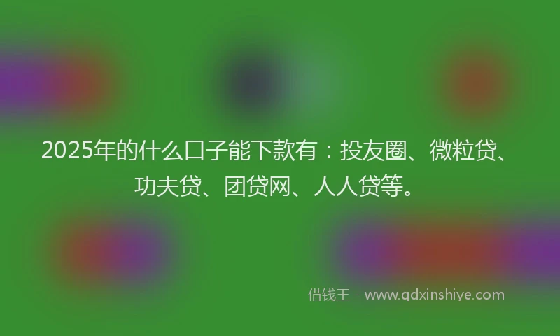 2025年的什么口子能下款有：投友圈、微粒贷、功夫贷、团贷网、人人贷等。