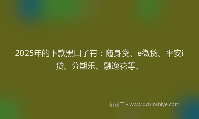 2025年的下款黑口子有：随身贷、e微贷、平安i贷、分期乐、融逸花等。