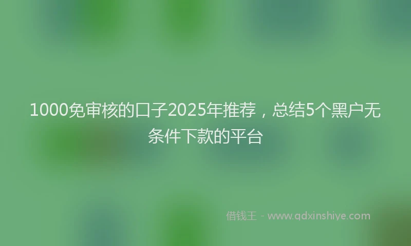 1000免审核的口子2025年推荐，总结5个黑户无条件下款的平台