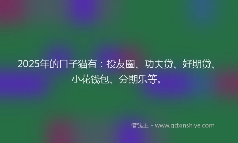 2025年的口子猫有：投友圈、功夫贷、好期贷、小花钱包、分期乐等。