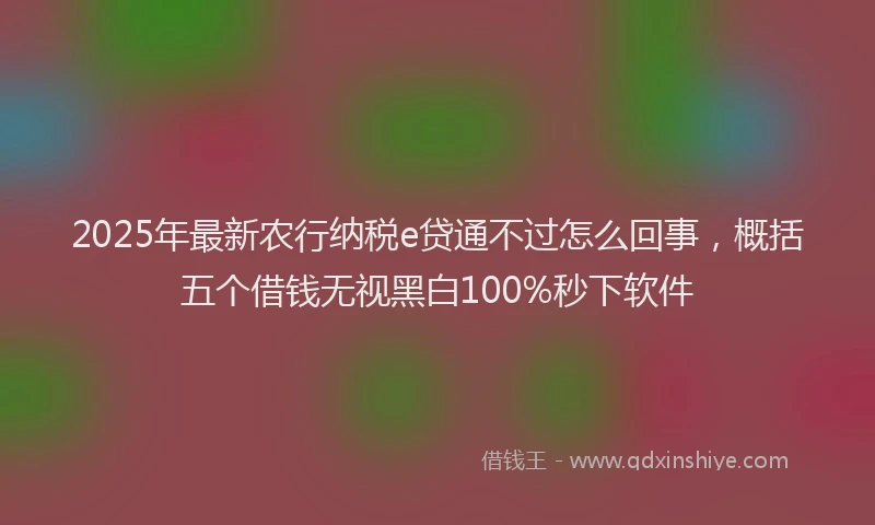 2025年最新农行纳税e贷通不过怎么回事，概括五个借钱无视黑白100%秒下软件