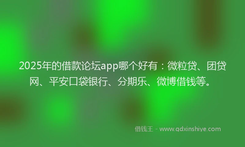 2025年的借款论坛app哪个好有：微粒贷、团贷网、平安口袋银行、分期乐、微博借钱等。