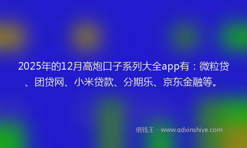 2025年的12月高炮口子系列大全app有：微粒贷、团贷网、小米贷款、分期乐、京东金融等。