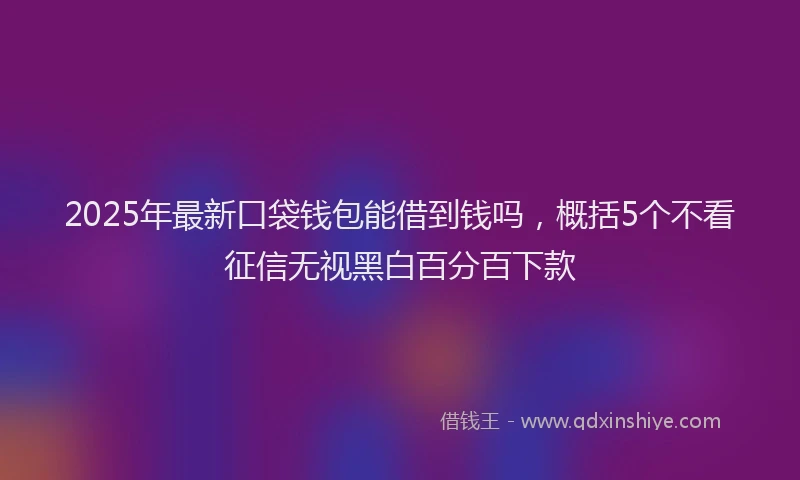 2025年最新口袋钱包能借到钱吗，概括5个不看征信无视黑白百分百下款