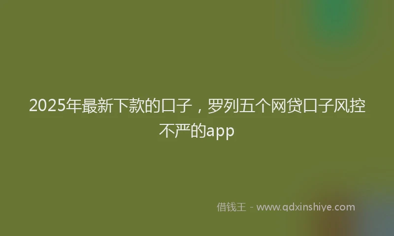 2025年最新下款的口子，罗列五个网贷口子风控不严的app