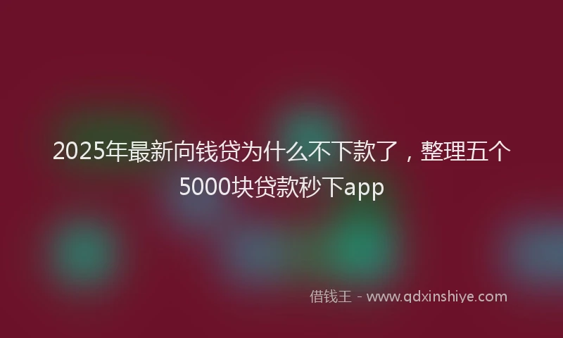 2025年最新向钱贷为什么不下款了，整理五个5000块贷款秒下app