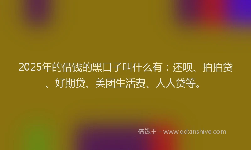 2025年的借钱的黑口子叫什么有：还呗、拍拍贷、好期贷、美团生活费、人人贷等。