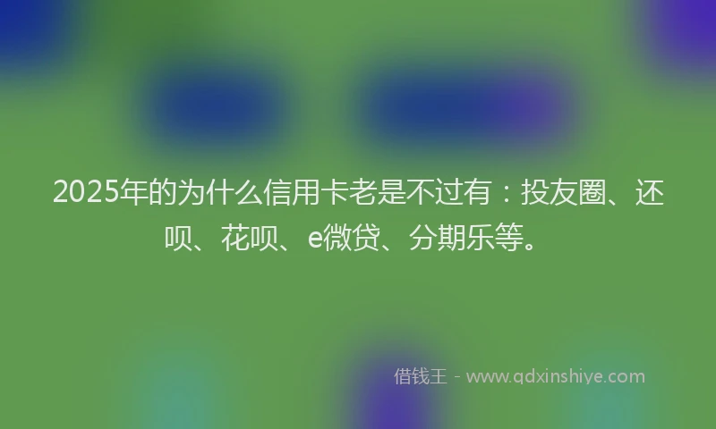 2025年的为什么信用卡老是不过有：投友圈、还呗、花呗、e微贷、分期乐等。