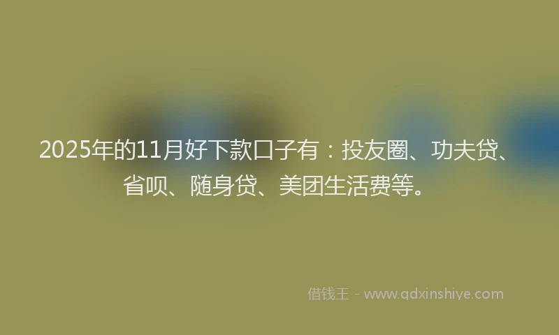 2025年的11月好下款口子有：投友圈、功夫贷、省呗、随身贷、美团生活费等。
