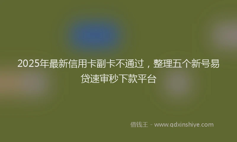 2025年最新信用卡副卡不通过，整理五个新号易贷速审秒下款平台