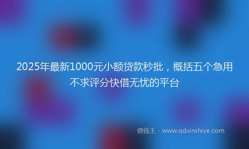 2025年最新1000元小额贷款秒批，概括五个急用不求评分快借无忧的平台