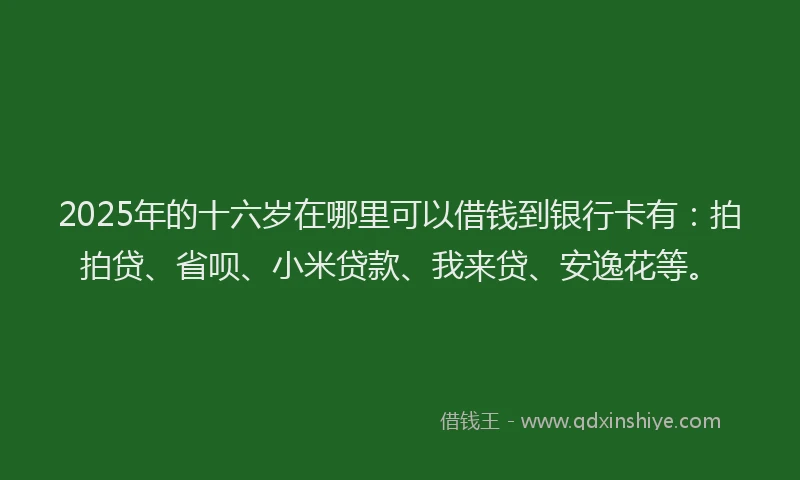 2025年的十六岁在哪里可以借钱到银行卡有：拍拍贷、省呗、小米贷款、我来贷、安逸花等。