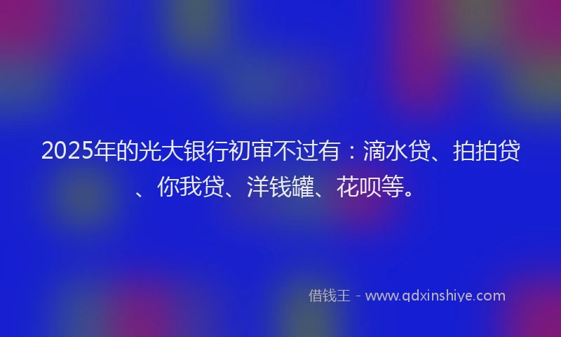 2025年的光大银行初审不过有：滴水贷、拍拍贷、你我贷、洋钱罐、花呗等。