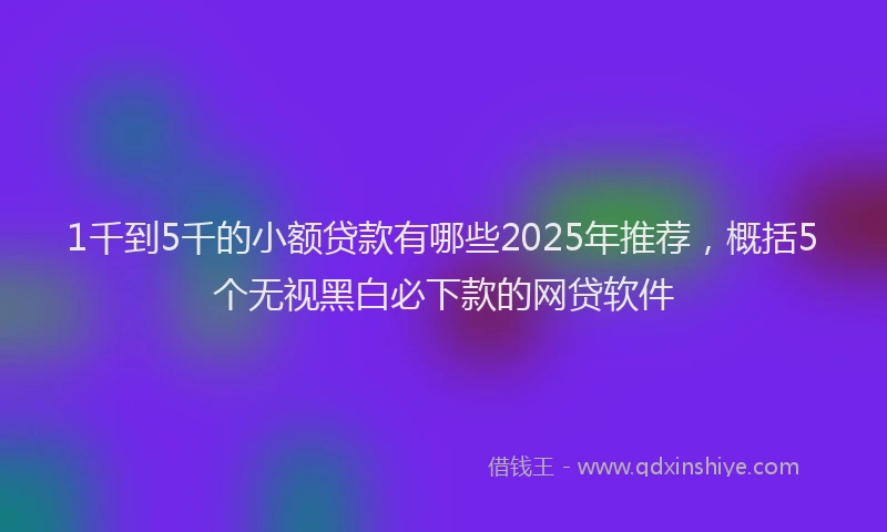 1千到5千的小额贷款有哪些2025年推荐，概括5个无视黑白必下款的网贷软件