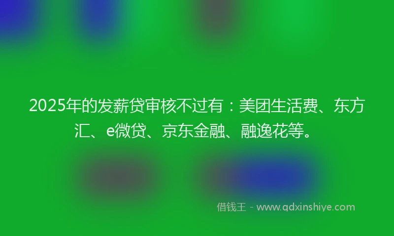 2025年的发薪贷审核不过有：美团生活费、东方汇、e微贷、京东金融、融逸花等。