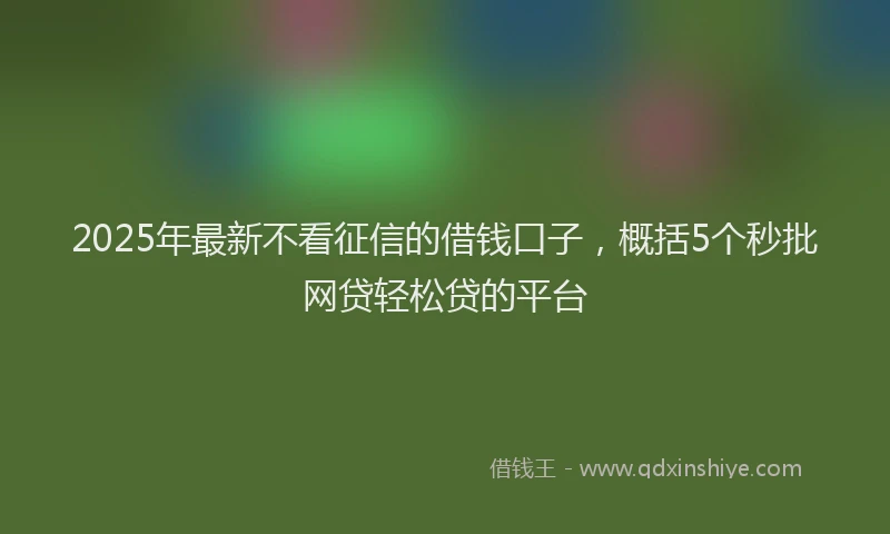 2025年最新不看征信的借钱口子，概括5个秒批网贷轻松贷的平台
