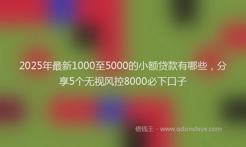 2025年最新1000至5000的小额贷款有哪些，分享5个无视风控8000必下口子