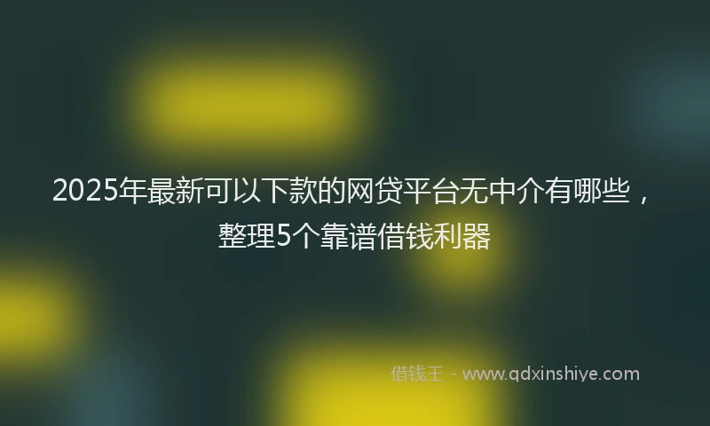 2025年最新可以下款的网贷平台无中介有哪些，整理5个靠谱借钱利器
