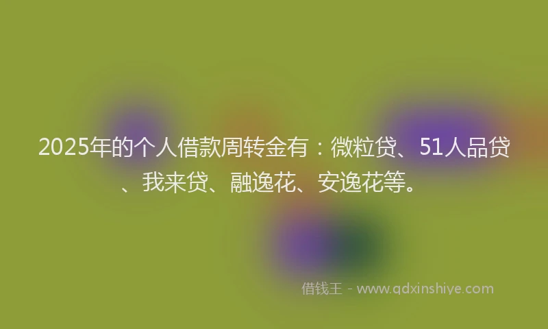 2025年的个人借款周转金有：微粒贷、51人品贷、我来贷、融逸花、安逸花等。