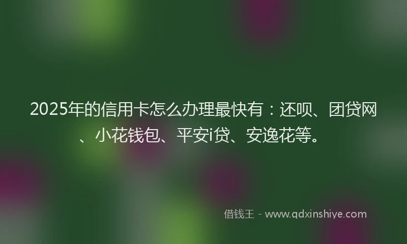 2025年的信用卡怎么办理最快有：还呗、团贷网、小花钱包、平安i贷、安逸花等。