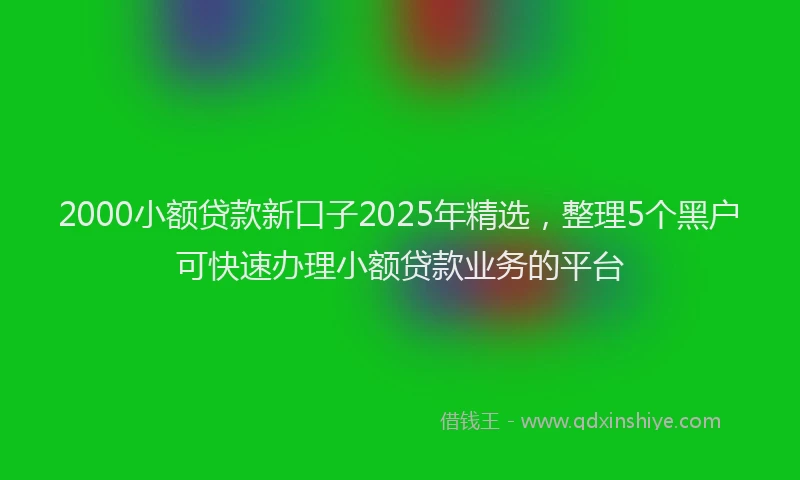 2000小额贷款新口子2025年精选，整理5个黑户可快速办理小额贷款业务的平台