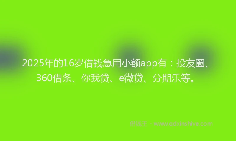 2025年的16岁借钱急用小额app有：投友圈、360借条、你我贷、e微贷、分期乐等。