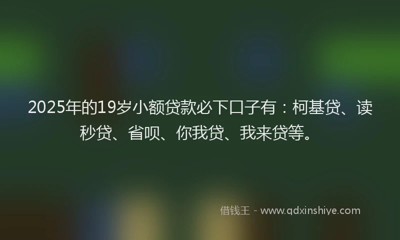 2025年的19岁小额贷款必下口子有：柯基贷、读秒贷、省呗、你我贷、我来贷等。
