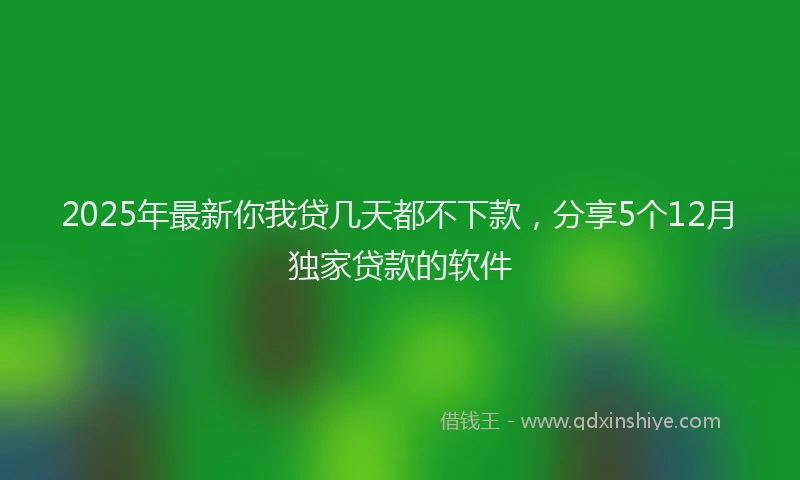 2025年最新你我贷几天都不下款，分享5个12月独家贷款的软件
