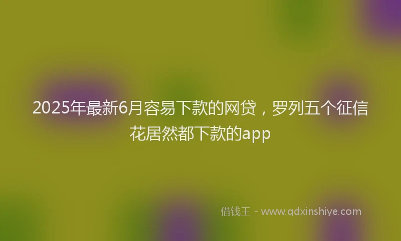 2025年最新6月容易下款的网贷，罗列五个征信花居然都下款的app