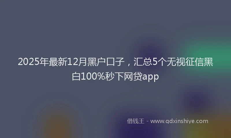 2025年最新12月黑户口子，汇总5个无视征信黑白100%秒下网贷app