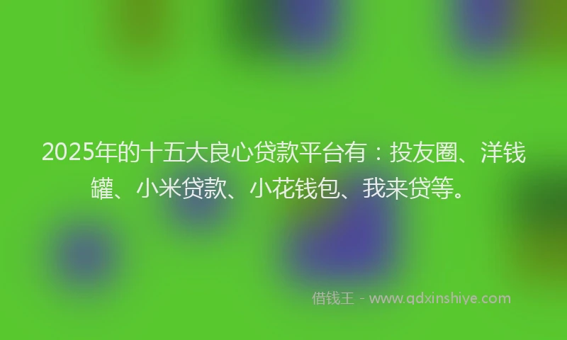 2025年的十五大良心贷款平台有：投友圈、洋钱罐、小米贷款、小花钱包、我来贷等。