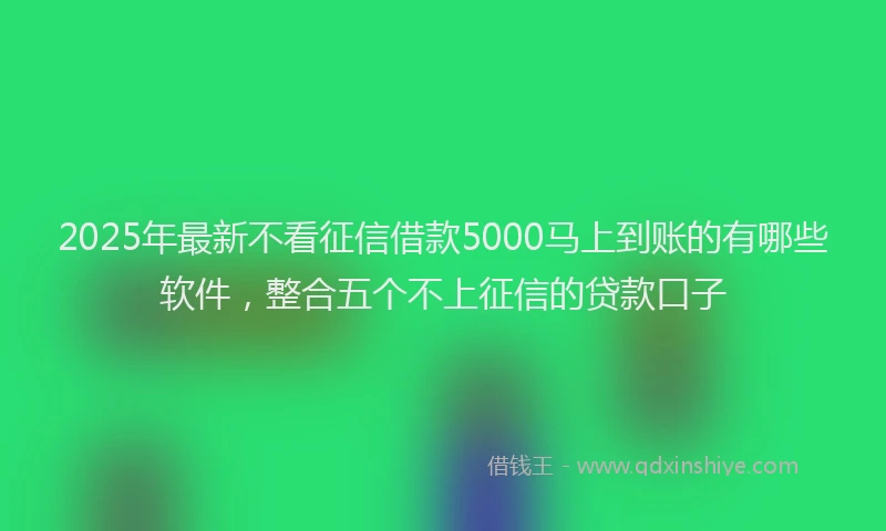 2025年最新不看征信借款5000马上到账的有哪些软件，整合五个不上征信的贷款口子