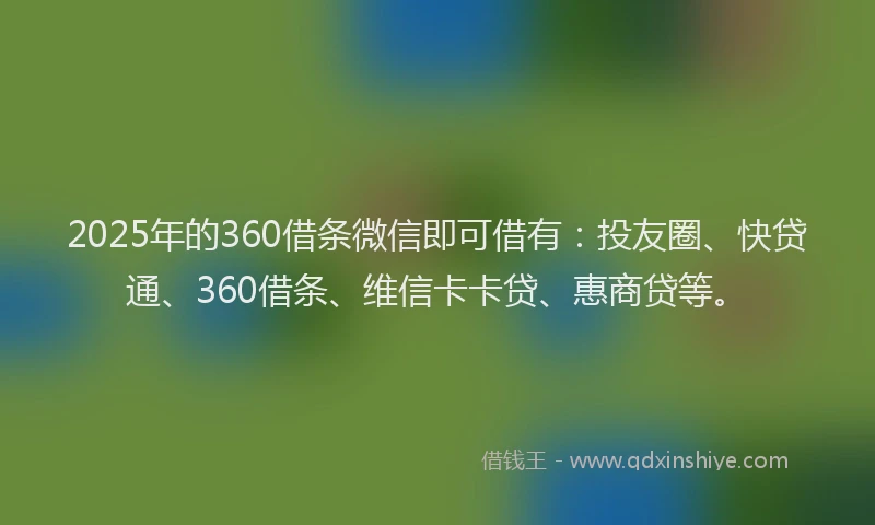 2025年的360借条微信即可借有：投友圈、快贷通、360借条、维信卡卡贷、惠商贷等。
